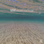 Gratified Ocean Music to Ease Your Mind cover