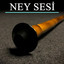 Nazende Sevgilim cover