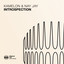 Introspection - Extended Mix