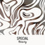 # 1 Album: Special Nursery cover
