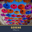# Serene Effects cover