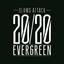 20/20 Evergreen cover