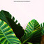 Unknown Title cover