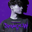 Shadow cover