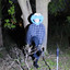 Richard Orofino - Fake Me