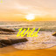 Wild cover