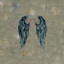 Insatiable cover