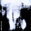 Mutated Organism