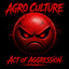 Act Of Aggression