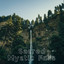 Sacred Mystic Falls cover