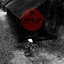 Dahlia — Nibbāna cover art
