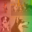 Tenor Sax Chill Out - Bgm for Stressed Dogs cover