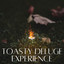 Toasty Deluge Experience cover
