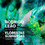 Mar Estranho cover