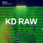 PAB165 — Hässelby (Original Mix) [KD RAW] cover art