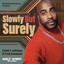 Demetrius Hernandez, Fred Simmons — Slowly But Surely - Demetrius Hernandez Retro Mix cover art