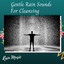 Rain Music: Gentle Rain Sounds For Cleansing cover