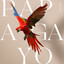 Papagayo cover