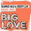 Boogie 2Nite (2026) - Seamus Haji & Booty Luv
