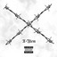 X-Ylem