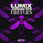 Fireflies - Extended Mix