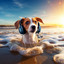 Ocean Playtime: Canine Energetic Harmonics cover