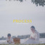 Process cover