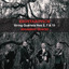 II. Allegretto furioso cover