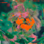 Brush strokes Baltra