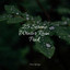 25 Serene Winter Rain Pink cover