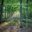 ADBREAK - Wilkes Development