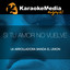 Si Tu Amor No Vuelve(Karaoke Version) [In The Style Of La Arrolladora Banda El Limon] cover