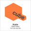 Ultra Flava - The Cube Guys Mix