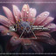 Beautifull Stranger Feat. Virginia Koll