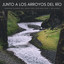 Junto A Los Arroyos Del Río: Sonidos Calmos Del Agua Para Sentirse Bien Y Relajado cover