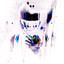 Shake