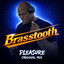 Brasstooth — Pleasure (Radio Edit) cover art
