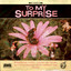 To My Surprise profile