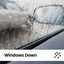 Windows Down cover