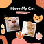 I Love My Cat cover