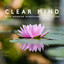Clear Mind with Morning Mindfulness Meditation - Nature Sounds for Yoga, Positive Energy, Sleep, Calm, Relaxation cover