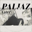Paljaz - De Rekenfout
