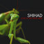Love Is The New Hate cover
