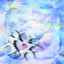 2U cover