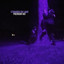 bullshit (interlude) cover