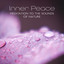 Inner Peace: Meditation to the Sounds of Nature, Mind Relaxation Music, Musical Therapy, Night Rain, Nature Escapes, Peaceful Retreat cover