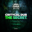 The Secret artwork