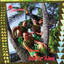 Mele Kalikimaka - Kani Kani Pele cover