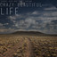 Crazy Beautiful Life