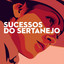 Sucessos do Sertanejo cover